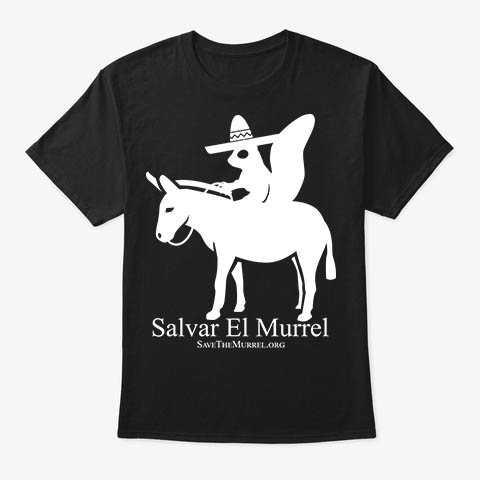 Salvar El Murrel (light on dark)